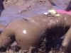 Lots of clean and dirty fun when on here. Enjoy!