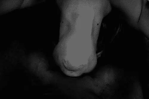 Bw bj