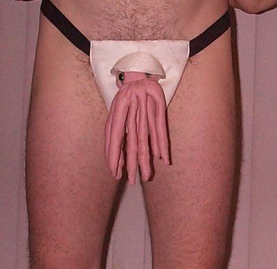 codpiece