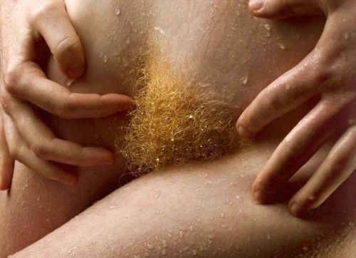 true blonde amateur teen hairy