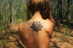 lotus flower