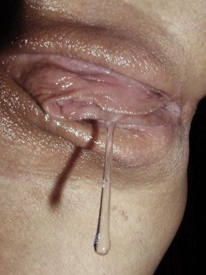 my pussy this morning for you all v