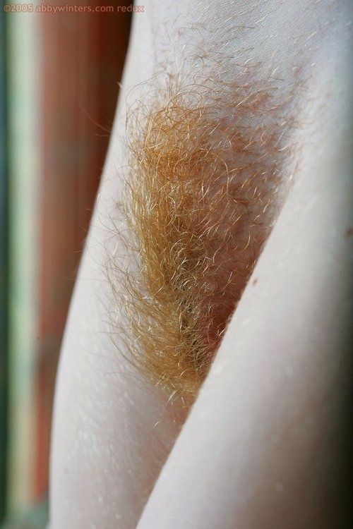 Red head's well-groomed orange-haired pussy.