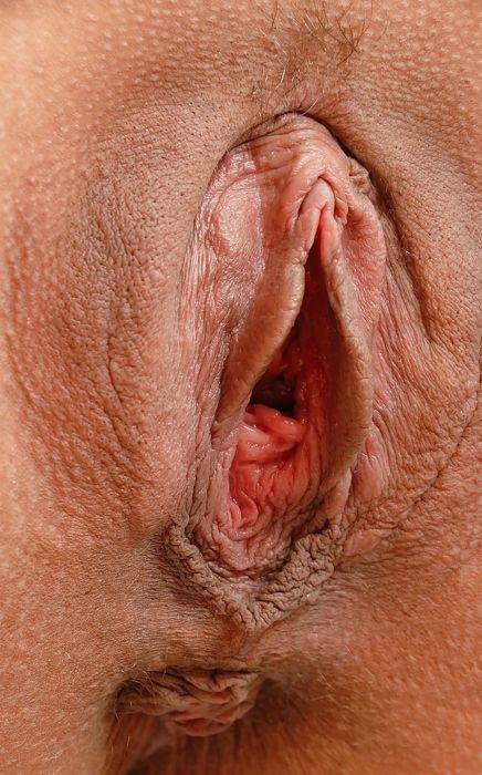 Awesome vagina pic