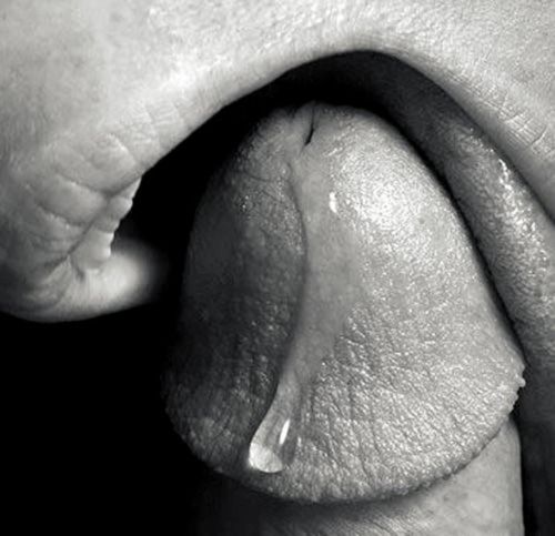 Hot blowjob picture