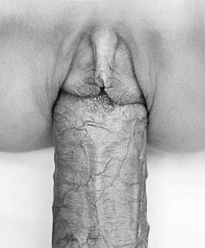 Incredible pussy picture