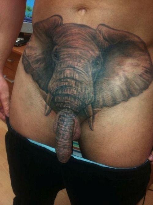 trunk
