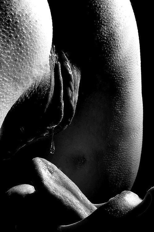 Awesome pussy pic featuring hot lesbian