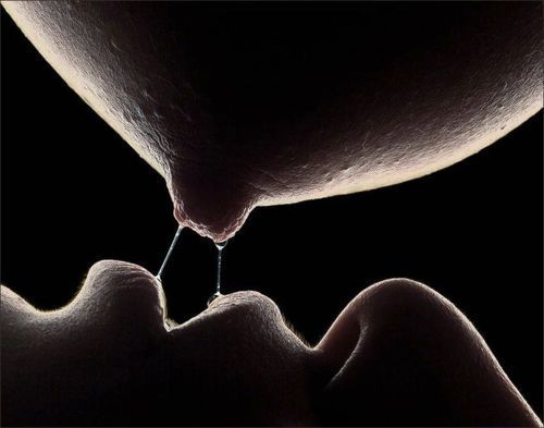 Hot lesbian in this amazing picture