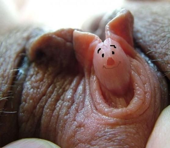 Piglit! What are you doing in this pussy?