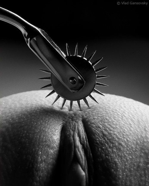 Awesome pussy picture