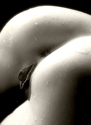 Fabulous booty in incredible vagina pic