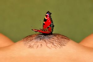 Incredible pussy photo