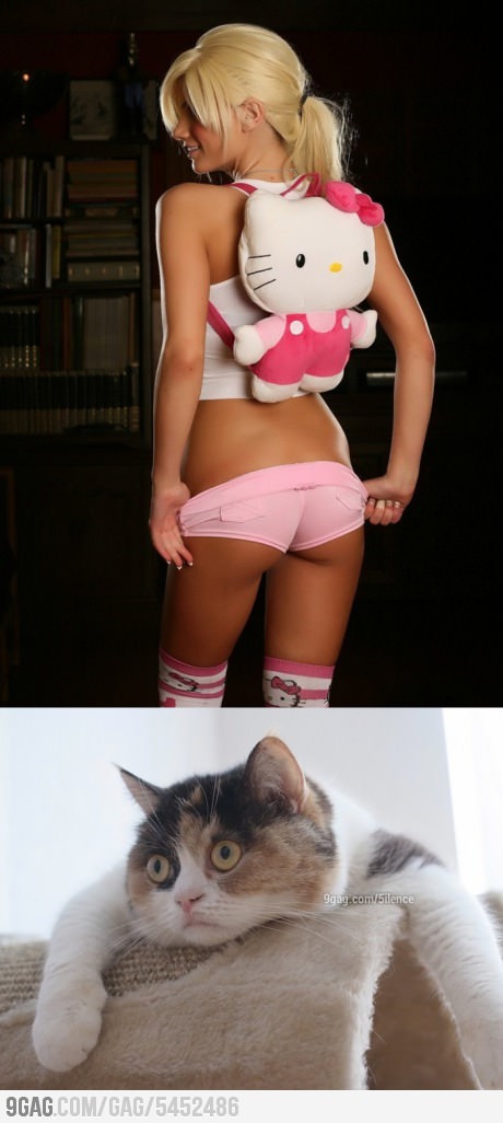Hello kitty!