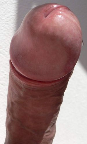 Incredible cumshot picture