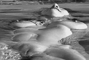 Awesome pussy picture featuring lovely rack