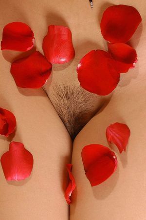 Awesome vagina photo