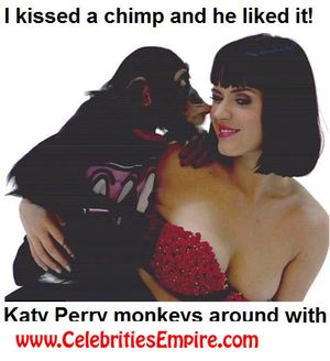 chimp love