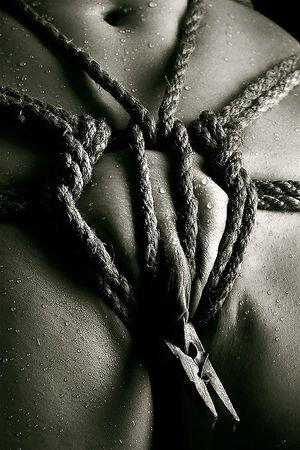 The Best BDSM Galleries