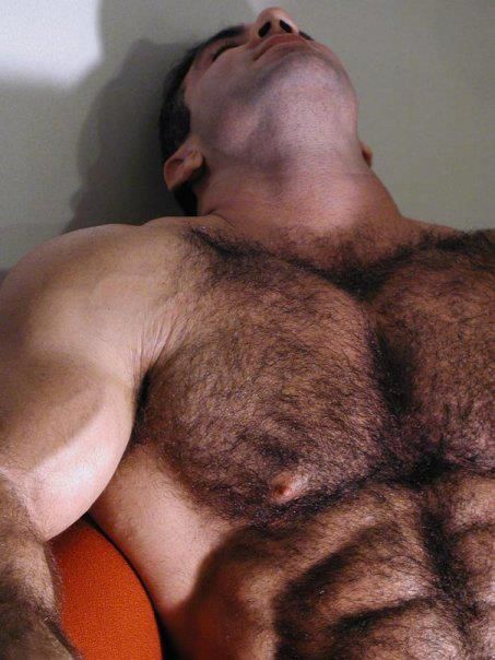 Amazing picture with beautiful gay hairy