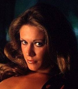 Marilyn Chambers, Porn Legend