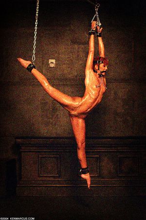 Incredible bondage picture
