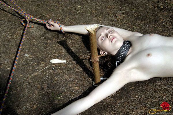 Awesome bdsm pic