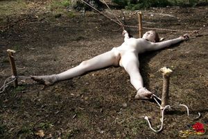 Amazing bondage photo