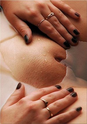 fussyfella: An island of delight?