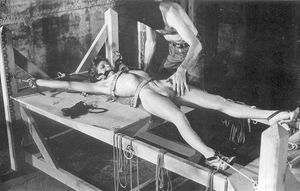 Incredible bondage classic picture