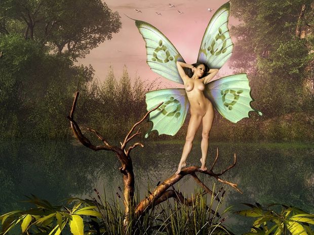 Incredible funny vagina picture