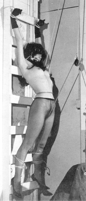 Amazing bondage throwback pic