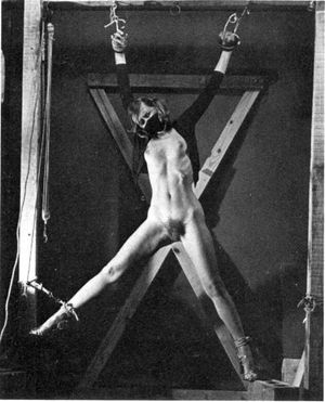 Amazing bondage vintage pic