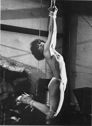 Incredible bdsm throwback pic