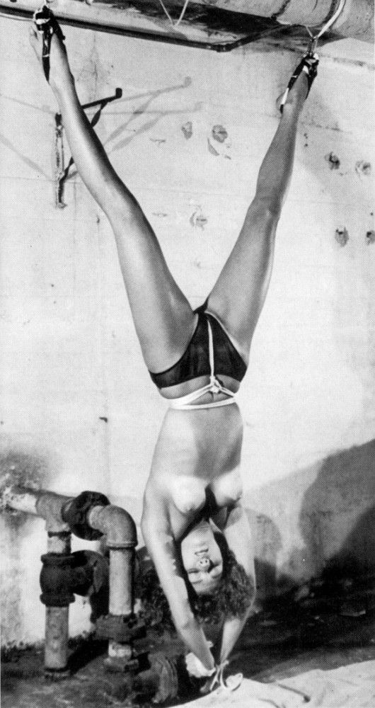 Awesome bdsm classic picture