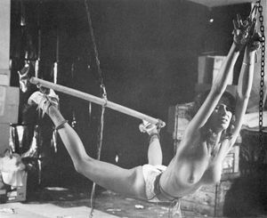 Incredible bdsm classic photo