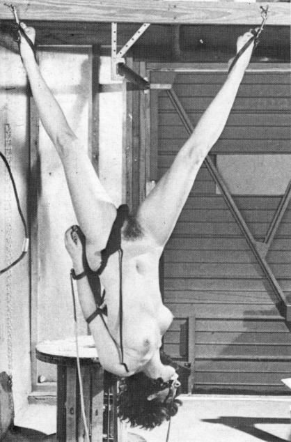 Incredible bondage classic photo