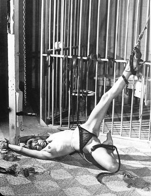 Incredible bdsm vintage picture