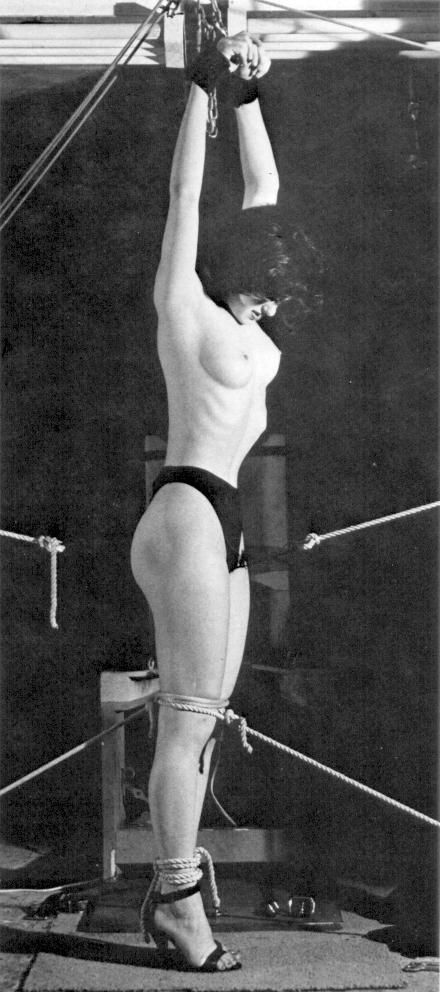 Incredible bondage classic pic