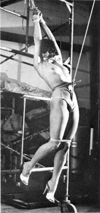 Amazing bdsm vintage picture