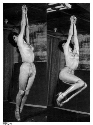 Awesome bdsm classic picture