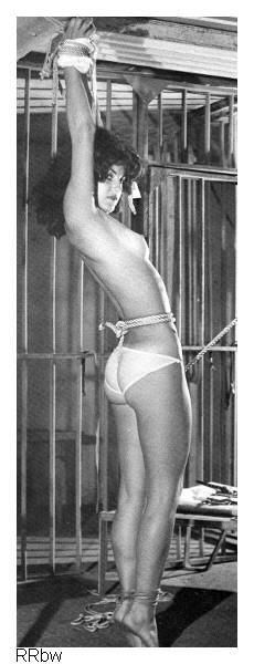 Amazing bdsm classic photo