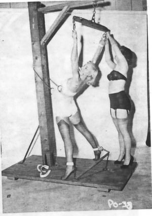 Awesome bondage classic picture