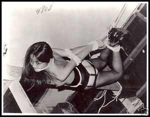Awesome bdsm vintage photo