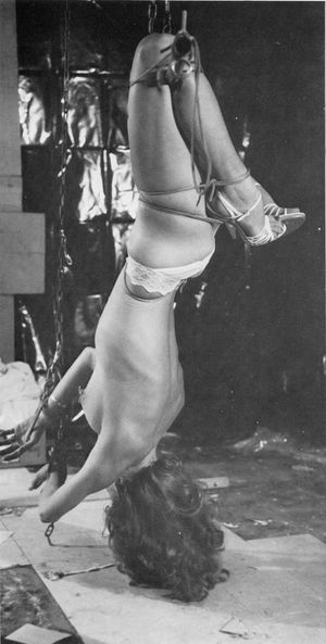 Classic Invert Suspension