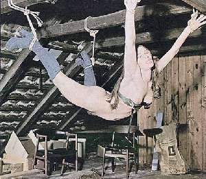 Incredible bdsm throwback pic