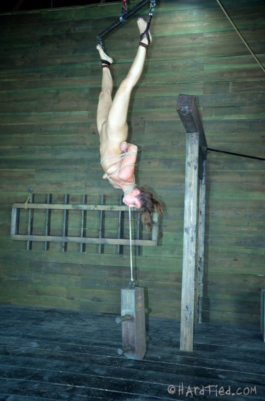 Awesome bdsm photo