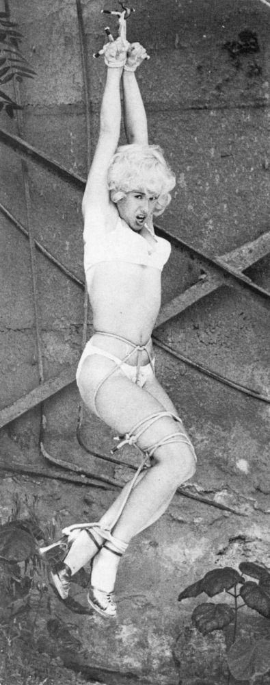 Incredible bdsm classic picture