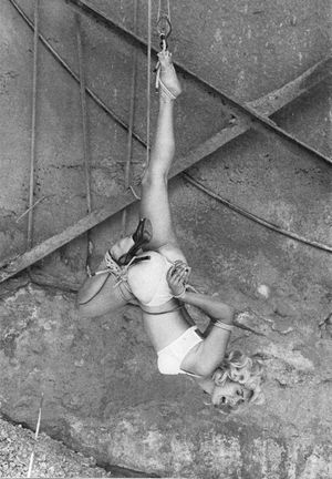 Incredible bondage classic picture