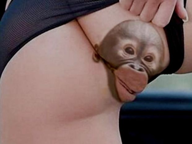 Amazing picture
